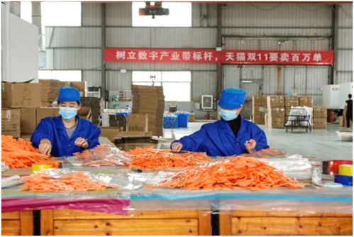 从“网红”到“长红” 义乌小商品与国民美食共绘中国消费新图景